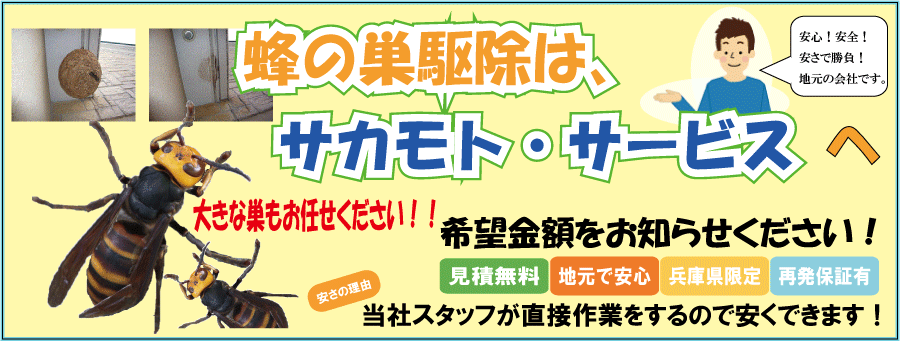 蜂の巣駆除のサカモトサービス